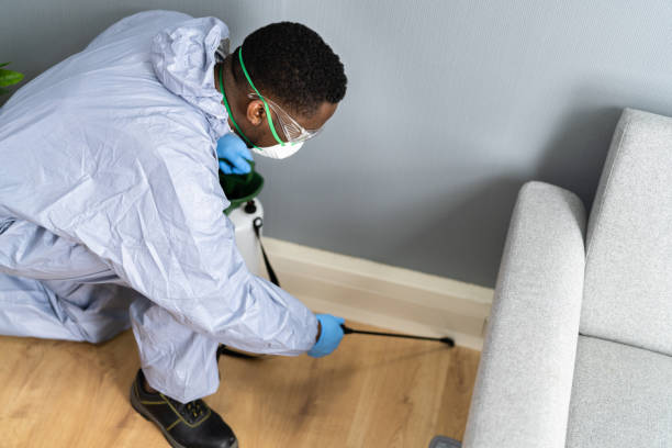 Best Residential Pest Control  in Houghton, NY